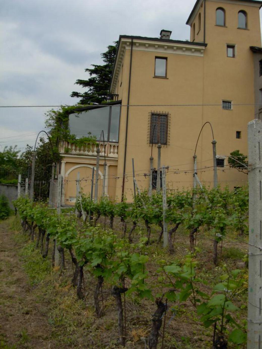 VILLA RIVOLIN - Angolo Frontale VILLA RIVOLIN - Angolo Frontale