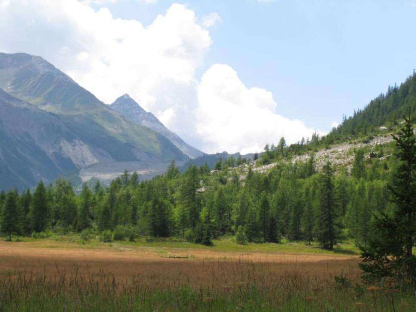 BOSCO DEL PEUTEREY - La piana BOSCO DEL PEUTEREY - La piana