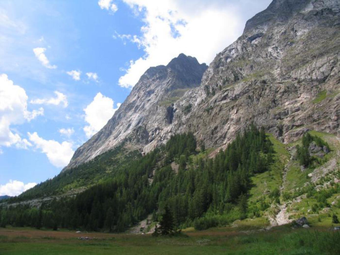 BOSCO DEL PEUTEREY - I pendii BOSCO DEL PEUTEREY - I pendii