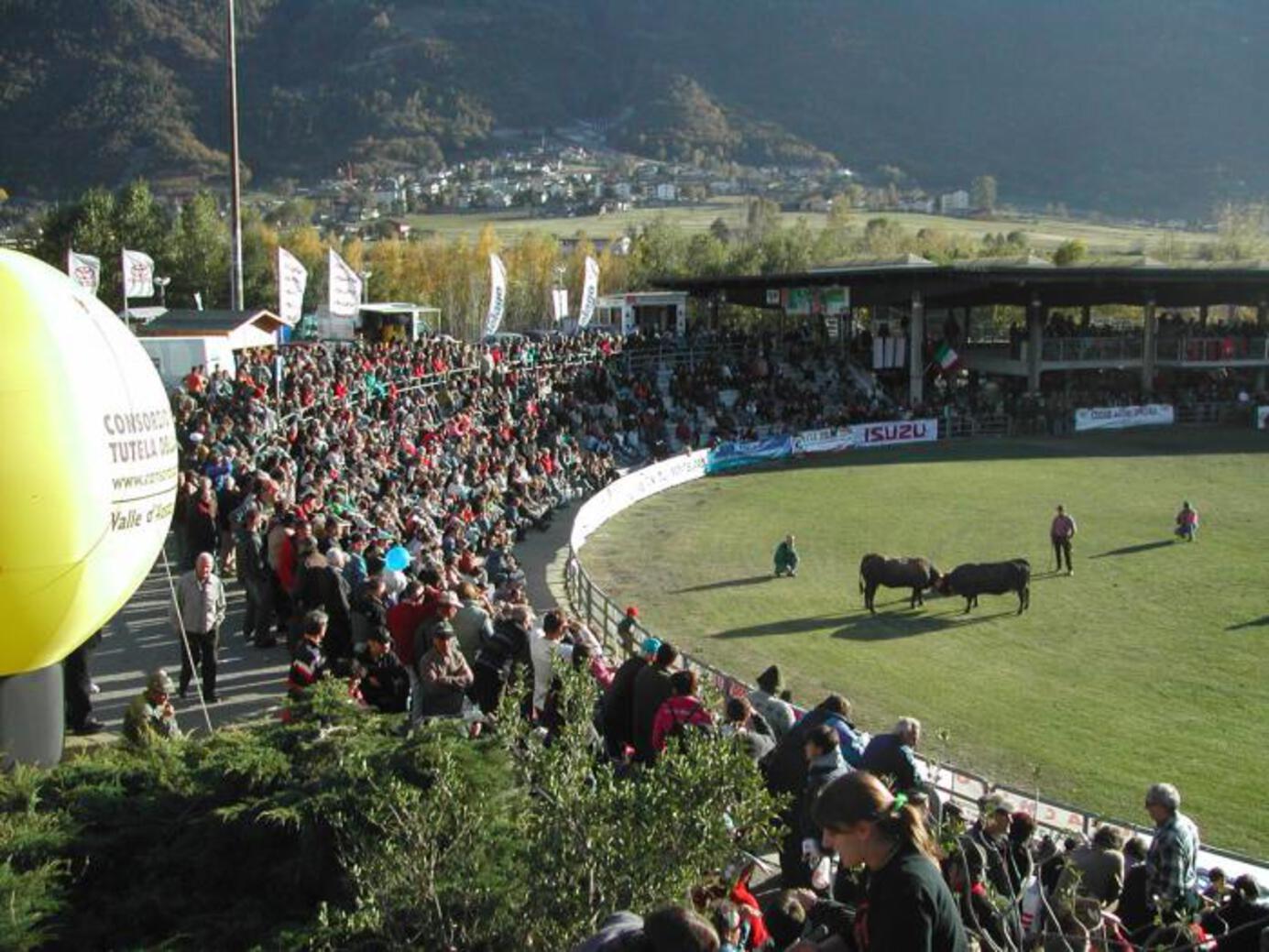 BATAILLE DES REINES - La finale all'Arena lucente BATAILLE DES REINES - La finale all'Arena lucente