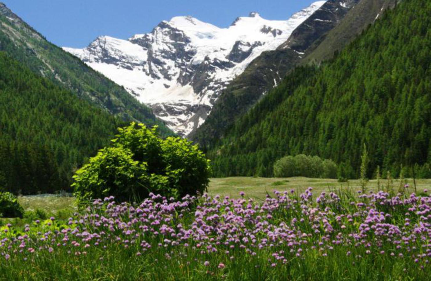 GRAN PARADISO - Contesto GRAN PARADISO - Contesto