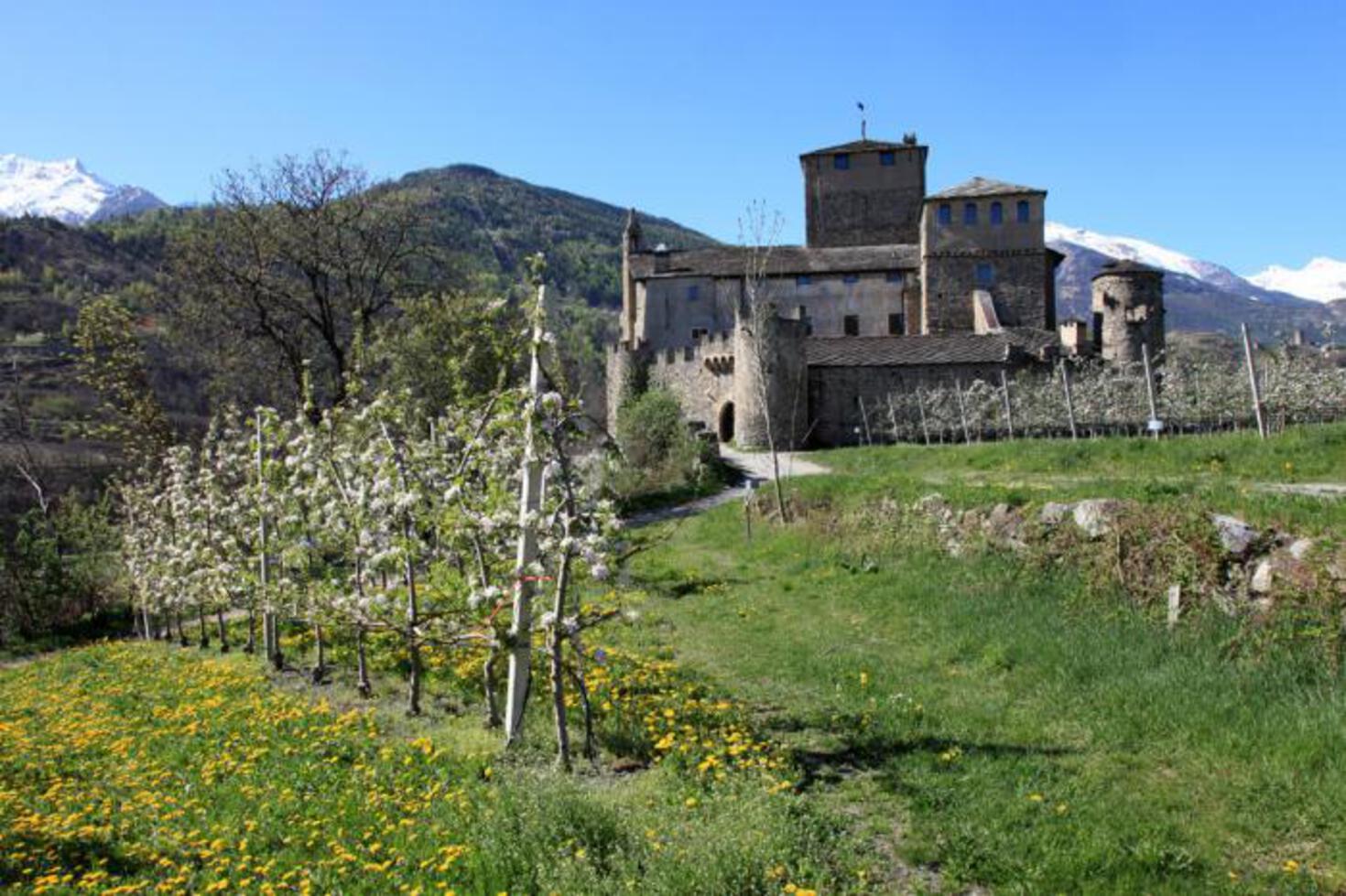 CASTELLO SARRIOD DE LA TOUR - Contesto CASTELLO SARRIOD DE LA TOUR - Contesto