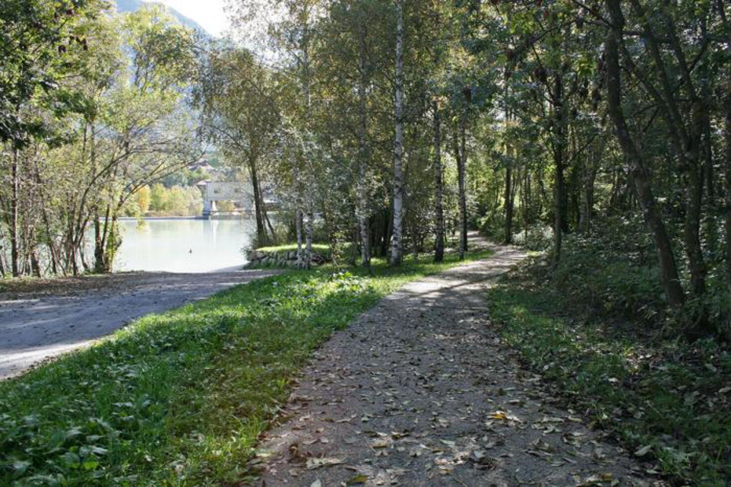 RISERVA NATURALE MARAIS - La vegetazione RISERVA NATURALE MARAIS - La vegetazione