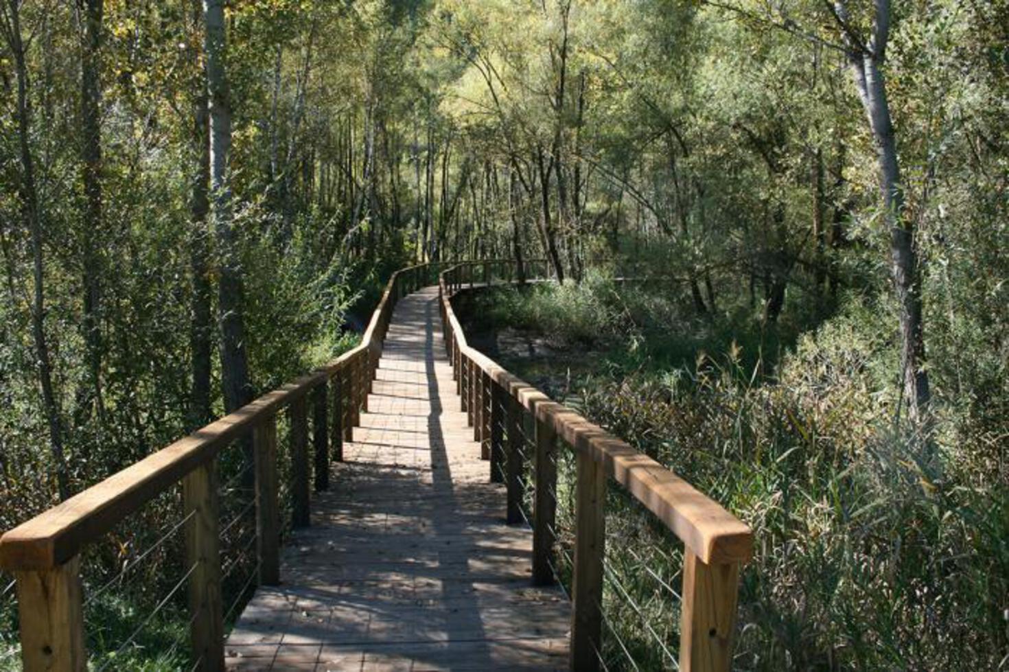 RISERVA NATURALE MARAIS - I passaggi RISERVA NATURALE MARAIS - I passaggi