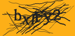 Enter the character string shown in the picture